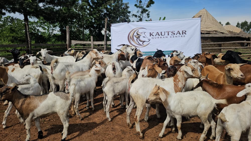 Qurban Kautsar (3) - Kautsar Qurban Centre