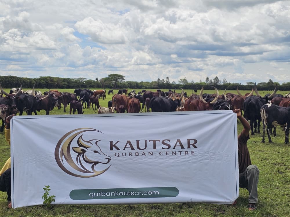 Ibadah Qurban Kautsar di Uganda (2) - Kautsar Qurban Centre